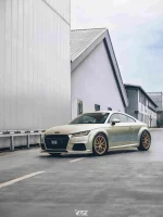 RB31-HD Decal đổi màu Bạc Silver Fern - Ảnh 2