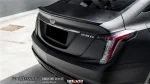 CM01-MS Decal đổi màu Đen Sandy black - Ảnh 8