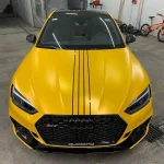 Hornet Yellow (ECH16) Vinyl Wrap - Ảnh 6