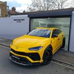 Hornet Yellow (ECH16) Vinyl Wrap - Ảnh 5