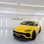 Hornet Yellow (ECH16) Vinyl Wrap - Ảnh 3