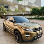 Bond Gold (ECH17) Vinyl Wrap - Ảnh 2