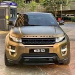 Bond Gold (ECH17) Vinyl Wrap - Ảnh 5