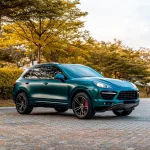 Forest Green (ECH19) Vinyl Wrap - Ảnh 2