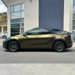 Greenfinch Gold (HM09) Vinyl Wrap - Ảnh 5