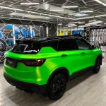 Paradise Green (SMT12) Vinyl Wrap - Ảnh 6