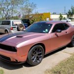 Antique Rose (VCH421-S) Vinyl Wrap - Ảnh 2