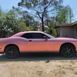 Antique Rose (VCH421-S) Vinyl Wrap - Ảnh 4