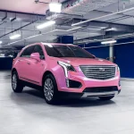 Wild Heather (DS05-HD) Vinyl Wrap - Ảnh 2