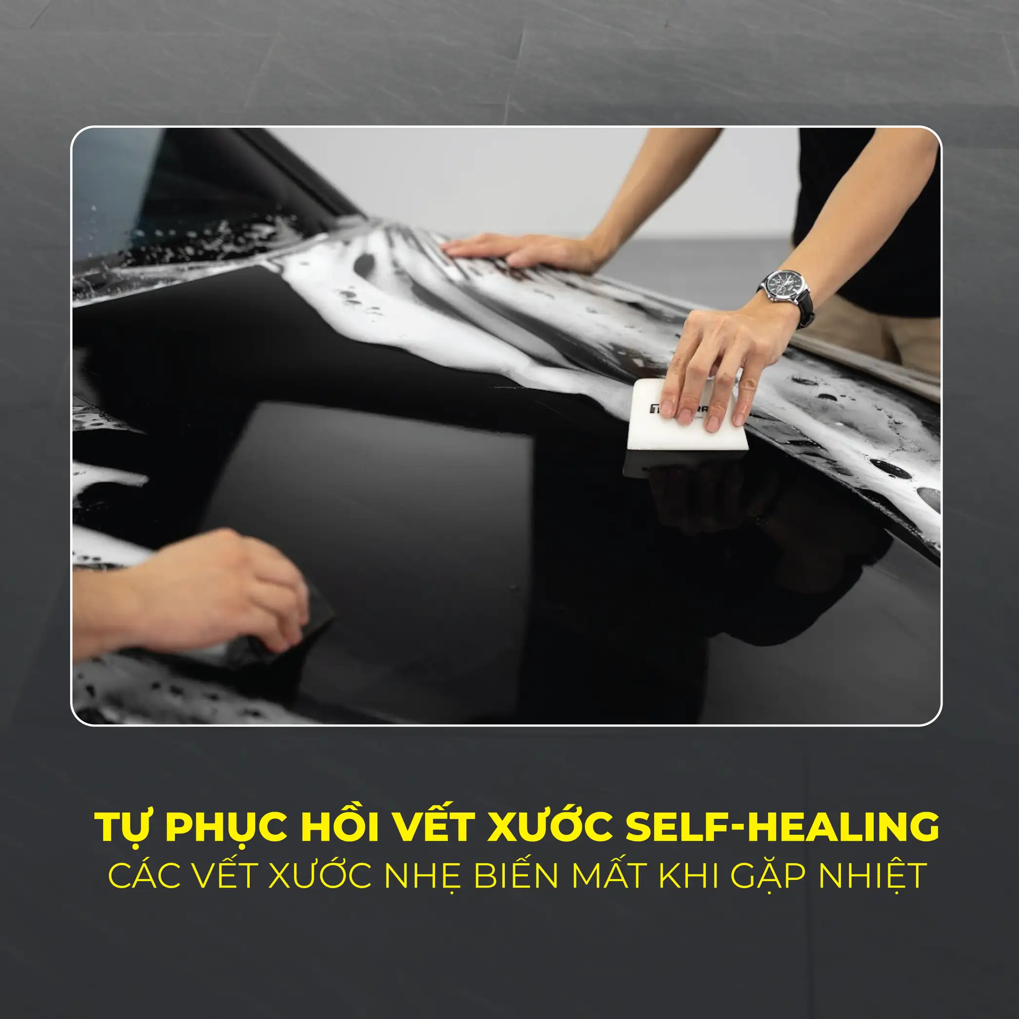 maico PPF TECKWRAP x MICHAEL CÁ CHỐT – Lớp giáp bảo vệ cho mọi hành trình