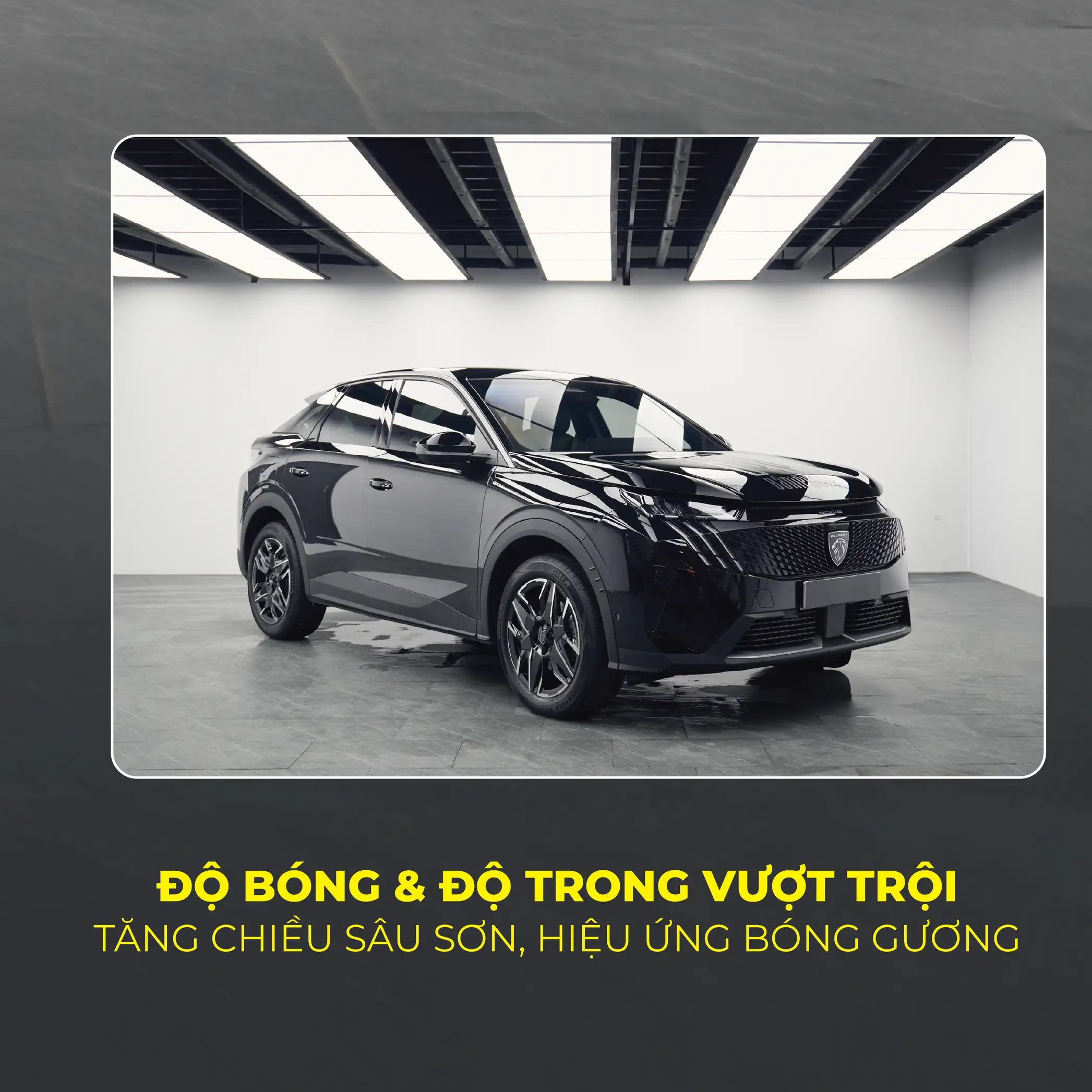 maico PPF TECKWRAP x MICHAEL CÁ CHỐT – Lớp giáp bảo vệ cho mọi hành trình